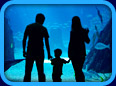 Public Aquarium Listing