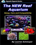 The New Reef Aquarium