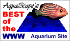 Best of the WWW Aquarium Site