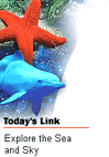 Microsoft Link of the Day