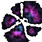 Dark Nebula