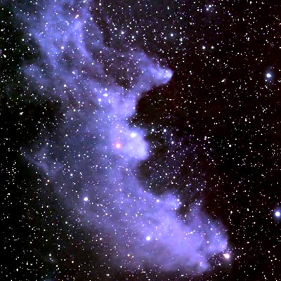 Image of IC 2118 the Witch Head Nebula