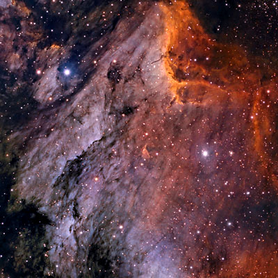 Telescope image of IC 5070 the Pelican Nebula