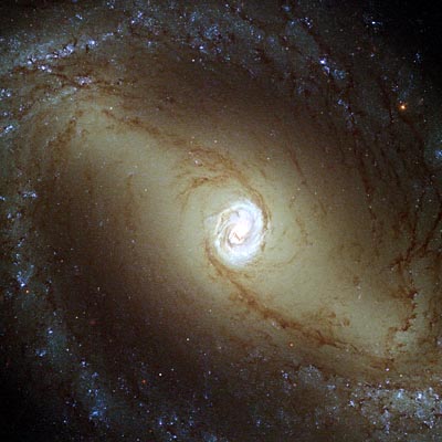 Hubble image of barred spiral galaxy NGC 1433 Miltron's Galaxy