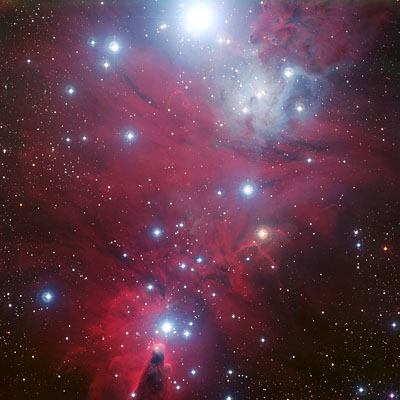 NGC 2264 the Christmas Tree Cluster