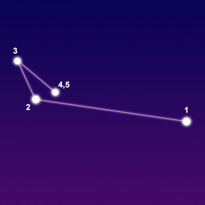 The constellation Apus showing common points of interest