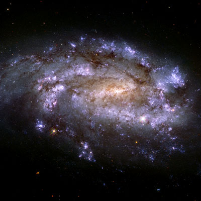 Image of barred spiral galaxy NGC 1559