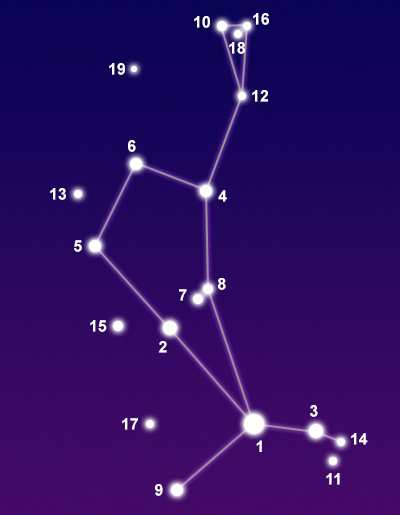Constellation Bootes The Constellations on Sea and Sky