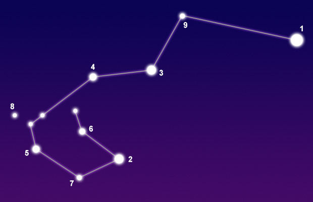 The constellation Carina showing common points of interest