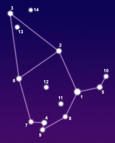 The constellation Cepheus showing common points of interest