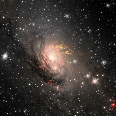 Telescope image of the Circinus Galaxy