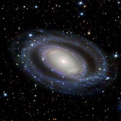 ESO image of double barred spiral galaxy NGC 7098 in Octans