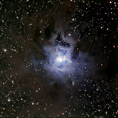 Amateur telescope image of NGC 7023, the Iris Nebula