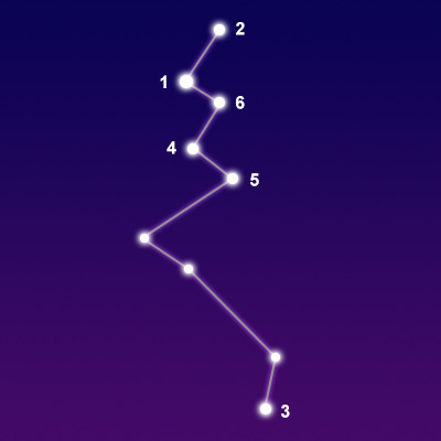 The constellation Lacerta showing common points of interest