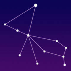 Image of the constellation Pavo