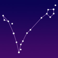 Image of the constellation Pisces