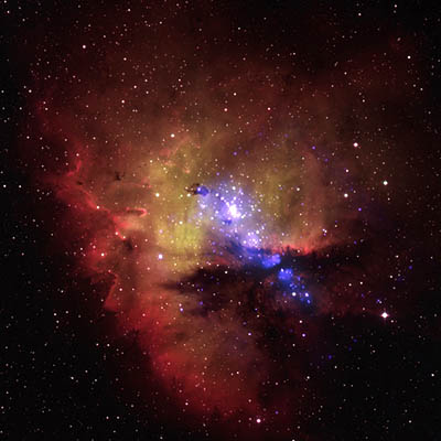 Chandra X-ray Observatory of the Pacman Nebula