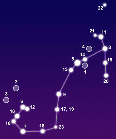 Резултат с изображение за Scorpius