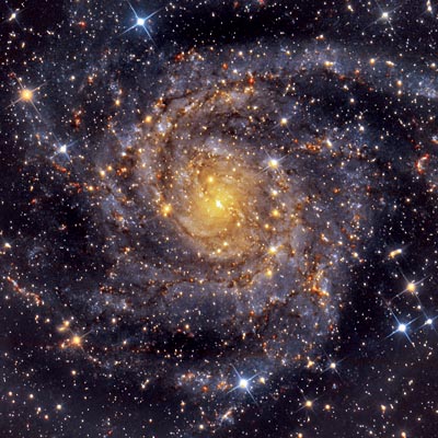 Image of spiral galaxy IC 342, the Hidden Galaxy