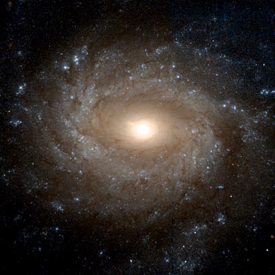 Image of spiral galaxy NGC 3486 in Leo Minor