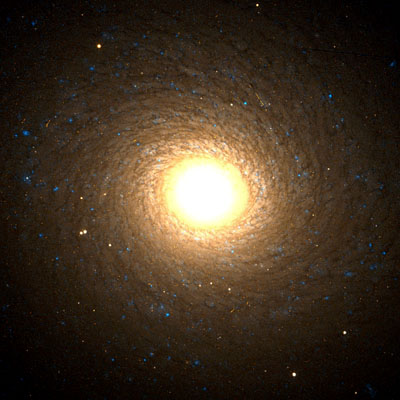 Hubble image of spiral galaxy NGC 7217