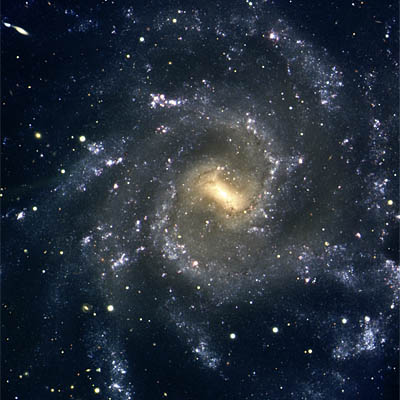 Image of spiral galaxy NGC 7424 in Grus