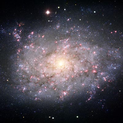 ESO image of spiral galaxy NGC 7793 in Sculptor