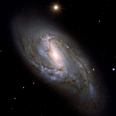 Spiral galaxy M66 in the constellation Leo