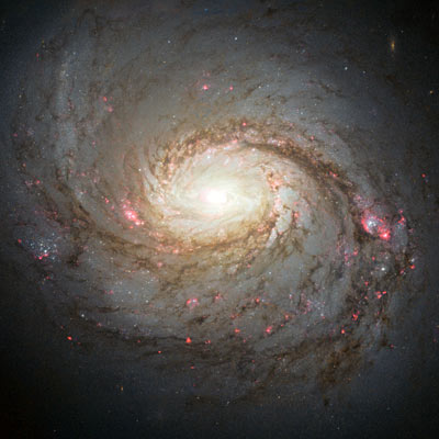 Hubble image of Barred spiral galaxy M77