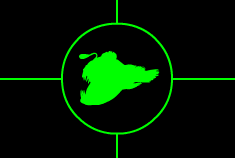 Angler Fish Size Chart