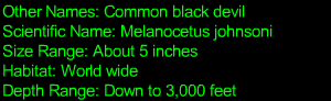 Deep Sea Anglerfish Statistics