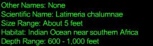 Coelacanth Statistics