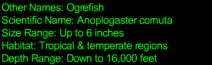 Fangtooth Statistics