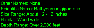 Giant Isopod Statistics