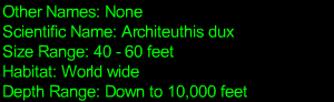 Giant Squid Statistics
