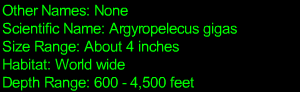 Deep Sea Hatchetfish Statistics