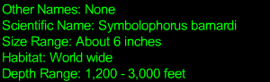 Lanternfish Statistics