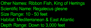Oarfish Statistics