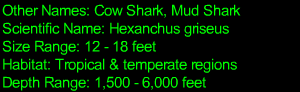 Sixgill Shark Statistics