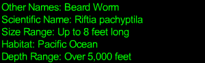 Giant Tube Worm Statistics