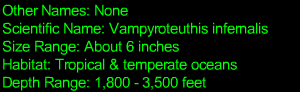 Vampire Squid Statistics