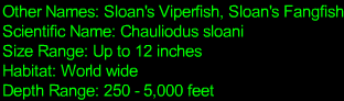 Viperfish Statistics