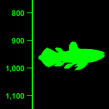 Coelacanth Depth - 1,000 Feet