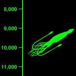 Giant Squid Depth - 10,000 Feet