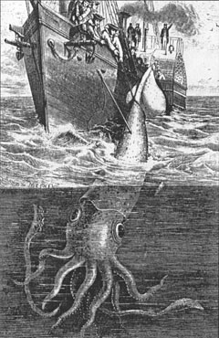 Drawing of giant squid being caught by fishermen