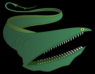 Eurypharynx pelecanoides, the gulper eel