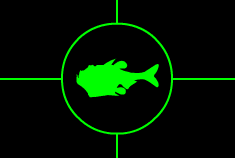 Deep Sea Hatchetfish Image