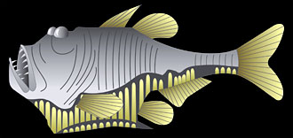 Argyropelecus gigas, the giant hatchetfish