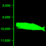 Sperm Whale Depth - 10,000 Feet