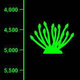 Giant Tube Worm Depth - 4,500 Feet